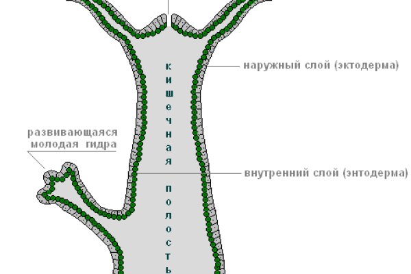 2krn at официальный