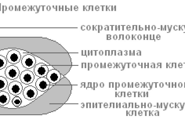 Кракен маркетплейс ссылка тг