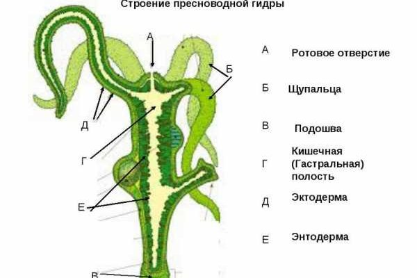 Кракен онион ссылка на тор