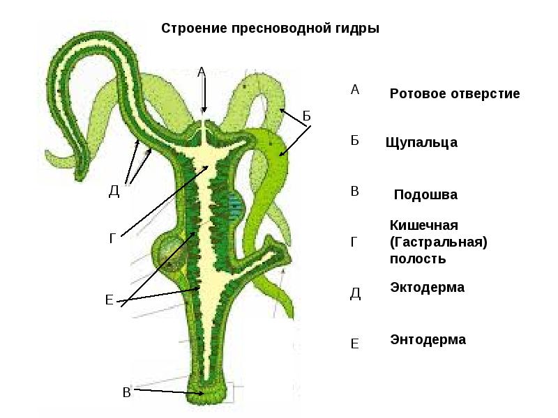 Кракен сайт официальный зеркало